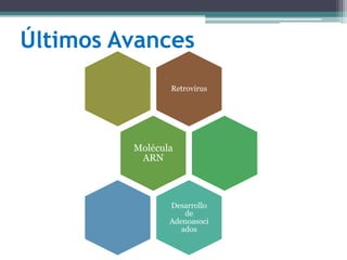 Últimos Avances
Retrovirus

Molécula
ARN

Desarrollo
de
Adenoasoci
ados

 