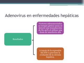 Adenovirus en enfermedades hepáticas
Vectores adenoasociados
en terapia génica sanas se
detectó una transducción
de 80-90% al utilizar una
dosis de interferón alfa
Resultados

A través de la expresión
del IFN-α previene la
evolución de la cirrosis
hepática.

 