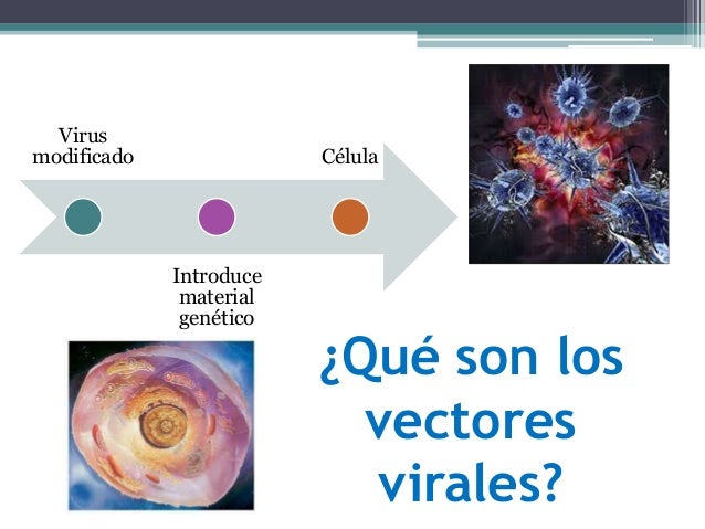 Vectores virales