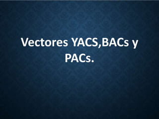 Vectores YACS,BACs y
PACs.
 