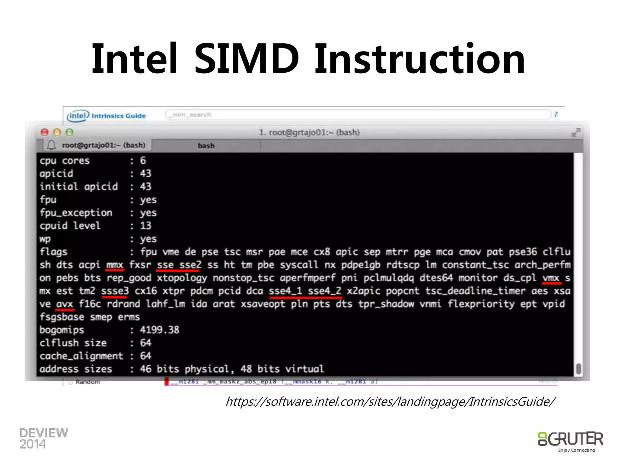 Intel SIMD Instruction 
https://software.intel.com/sites/landingpage/IntrinsicsGuide/ 
 