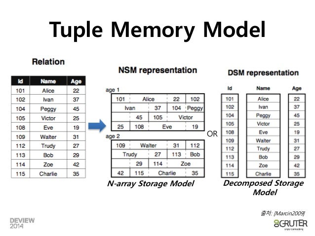 Vectorized processing in_a_nutshell_DeView2014