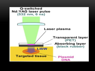 Vector less gene transfer | PPTX