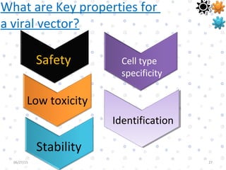 Vector Safe Process Vectors | PPT