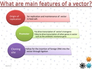 06/27/15 5
Origin of
replication
Promoter
Cloning
site
for replication and maintenance of vector
in host cell.
•to drive transcription of vector's transgene
•Also to drive transcription of other genes in vector
such as the antibiotic resistance gene
•allow for the insertion of foreign DNA into the
vector through ligation
 