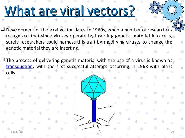 retroviral vector define