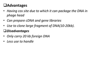 Advantages
• Having cos site due to which it can package the DNA in
phage head
• Can prepare cDNA and gene libraries
• Use to clone large fragment of DNA(10-20kb).
Disadvantages
• Only carry 20 kb foreign DNA
• Less use to handle
 