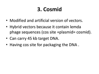3. Cosmid
• Modified and artificial version of vectors.
• Hybrid vectors because it contain lemda
phage sequences (cos site +plasmid= cosmid).
• Can carry 45 kb target DNA.
• Having cos site for packaging the DNA .
 