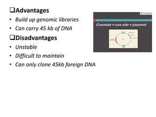 Advantages
• Build up genomic libraries
• Can carry 45 kb of DNA
Disadvantages
• Unstable
• Difficult to maintain
• Can only clone 45kb foreign DNA
 