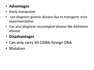 • Advantages
• Easily manipulate
• can diagnose genetic disease due to transgenic mice
experimentation
• Can also diagnose neurological disease like Alzheimer
disease
• Disadvantages
• Can only carry 50-100kb foreign DNA
• Mutation
 