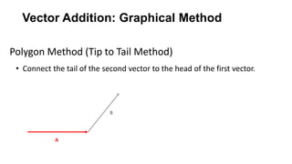 Vector Addition Through Graphical Method Vectors.pptx