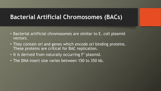 Bacterial Artificial Chromosomes (BACs)
• Bacterial artificial chromosomes are similar to E. coli plasmid
vectors.
• They contain ori and genes which encode ori binding proteins.
These proteins are critical for BAC replication.
• It is derived from naturally occurring F’ plasmid.
• The DNA insert size varies between 150 to 350 kb.
 