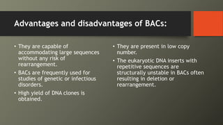 Advantages and disadvantages of BACs:
• They are capable of
accommodating large sequences
without any risk of
rearrangement.
• BACs are frequently used for
studies of genetic or infectious
disorders.
• High yield of DNA clones is
obtained.
• They are present in low copy
number.
• The eukaryotic DNA inserts with
repetitive sequences are
structurally unstable in BACs often
resulting in deletion or
rearrangement.
 