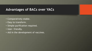 Advantages of BACs over YACs
• Comparatively stable.
• Easy to transform.
• Simple purification required.
• User- friendly.
• Aid in the development of vaccines.
 
