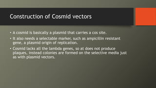 Construction of Cosmid vectors
• A cosmid is basically a plasmid that carries a cos site.
• It also needs a selectable marker, such as ampicillin resistant
gene, a plasmid origin of replication.
• Cosmid lacks all the lambda genes, so at does not produce
plaques, instead colonies are formed on the selective media just
as with plasmid vectors.
 