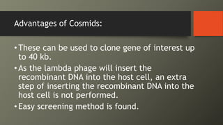 Advantages of Cosmids:
•These can be used to clone gene of interest up
to 40 kb.
•As the lambda phage will insert the
recombinant DNA into the host cell, an extra
step of inserting the recombinant DNA into the
host cell is not performed.
•Easy screening method is found.
 