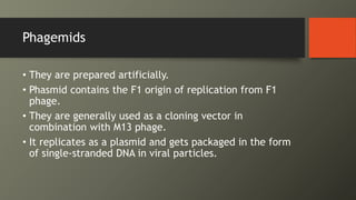Phagemids
• They are prepared artificially.
• Phasmid contains the F1 origin of replication from F1
phage.
• They are generally used as a cloning vector in
combination with M13 phage.
• It replicates as a plasmid and gets packaged in the form
of single-stranded DNA in viral particles.
 