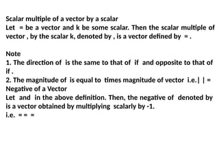 Vectors of Bachelors of computer science | PPTX