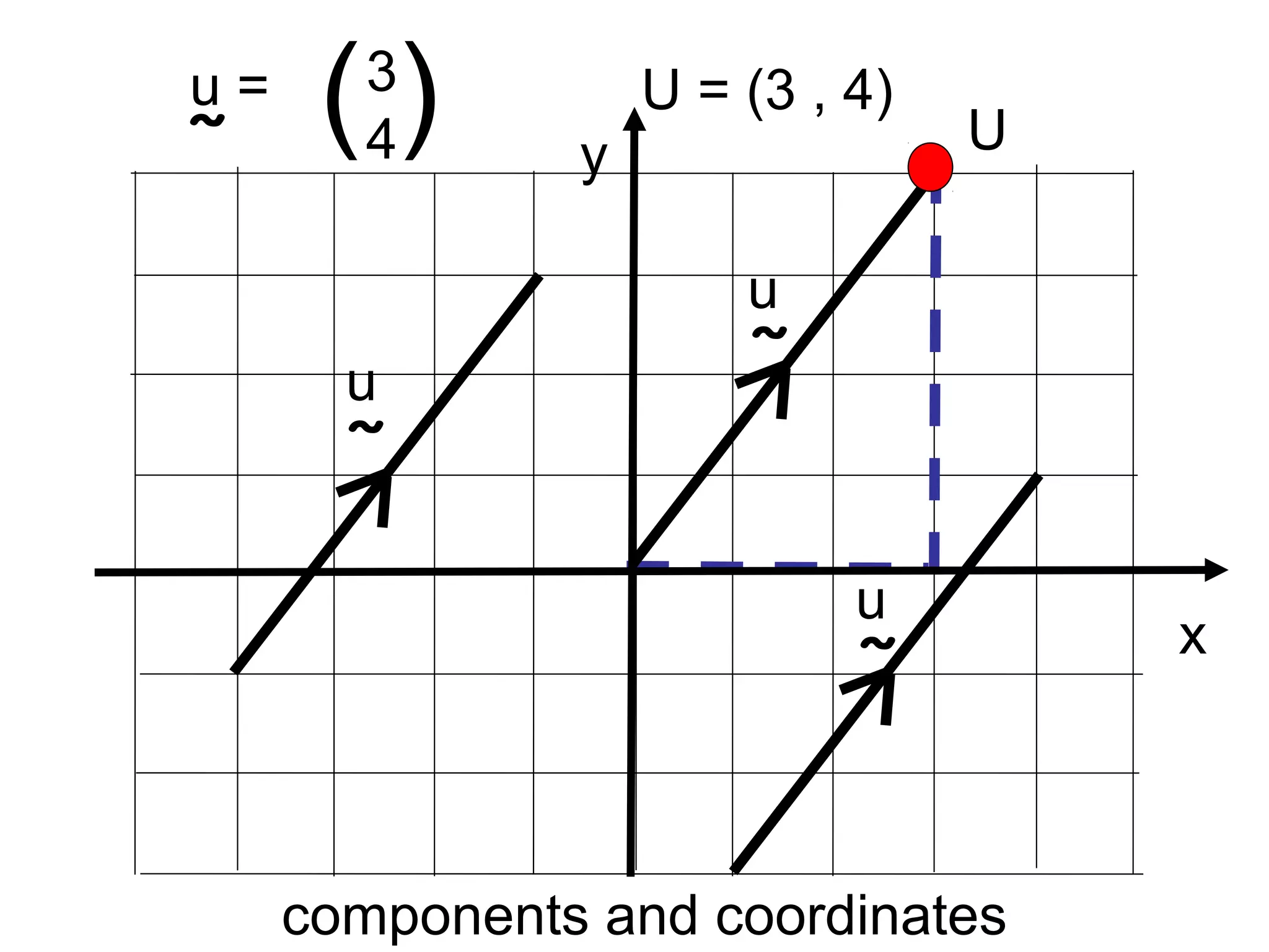 3
4( )u =
˜
U = (3 , 4)
x
y U
u
˜
u
˜
u
˜
components and coordinates
 