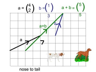 a + b
4
2( )a = b =
a+b
nose to tail
1
3
( )
a
b
5
5
= ( )
 