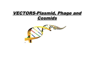 VECTORS-Plasmid, Phage andVECTORS-Plasmid, Phage and
CosmidsCosmids
 