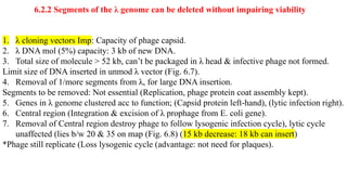 Unaffected Vector Vectors a complete and breif explaintaion | PPTX