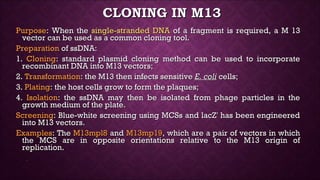 Vectors bacteriophages | PPT