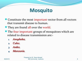 Vectors borne diseases 1 | PPT