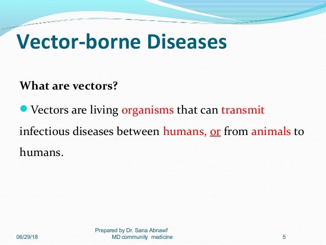 Vectors borne diseases 1