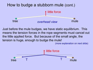 How to budge a stubborn mule (cont.)
overhead viewtree mule
little force
Just before the mule budges, we have static equilibrium. This
means the tension forces in the rope segments must cancel out
the little applied force. But because of the small angle, the
tension is huge, enough to budge the mule!
tree mule
little force
T T
(more explanation on next slide)
 