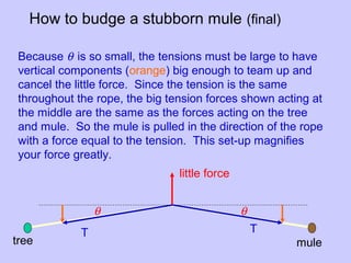 How to budge a stubborn mule (final)
tree mule
little force
T T
Because θ is so small, the tensions must be large to have
vertical components (orange) big enough to team up and
cancel the little force. Since the tension is the same
throughout the rope, the big tension forces shown acting at
the middle are the same as the forces acting on the tree
and mule. So the mule is pulled in the direction of the rope
with a force equal to the tension. This set-up magnifies
your force greatly.
θ θ
 