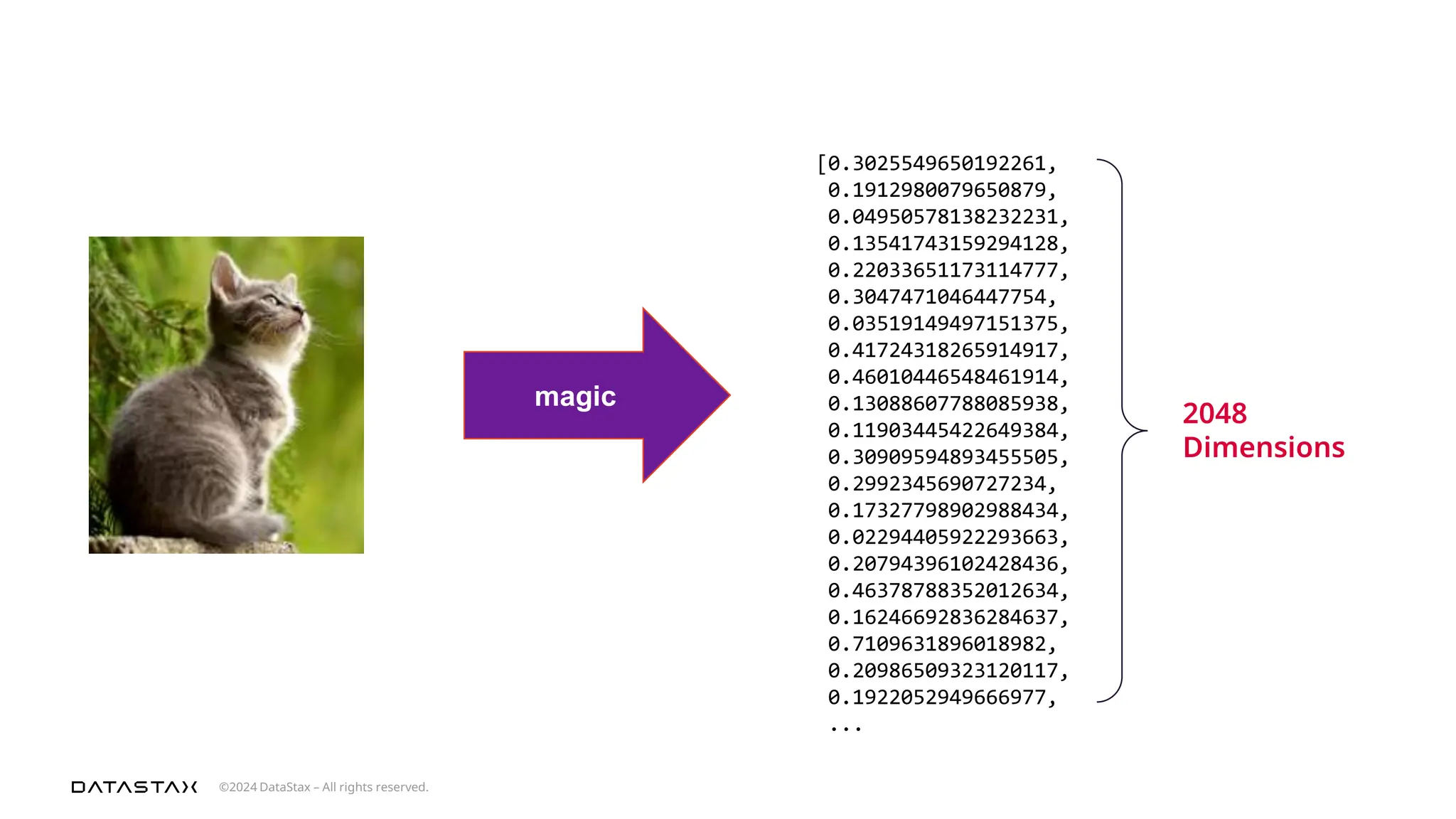 ©2024 DataStax – All rights reserved.
magic
[0.3025549650192261,
0.1912980079650879,
0.04950578138232231,
0.13541743159294128,
0.22033651173114777,
0.3047471046447754,
0.03519149497151375,
0.41724318265914917,
0.46010446548461914,
0.13088607788085938,
0.11903445422649384,
0.30909594893455505,
0.2992345690727234,
0.17327798902988434,
0.02294405922293663,
0.20794396102428436,
0.46378788352012634,
0.16246692836284637,
0.7109631896018982,
0.20986509323120117,
0.1922052949666977,
...
2048
Dimensions
 
