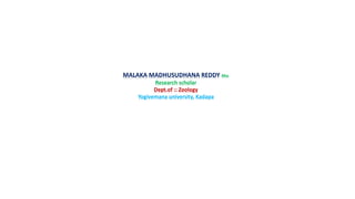MALAKA MADHUSUDHANA REDDY Msc
Research scholar
Dept.of :: Zoology
Yogivemana university, Kadapa
 