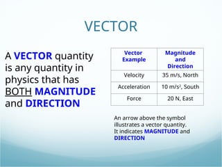 Examples For Vector Quantities vectorshonors (1).ppt vector quantities and physical | PPT