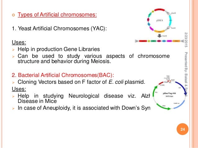 Vectors in Biotechnolgy