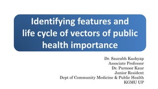 Identifying features and
life cycle of vectors of public
health importance
Dr. Saurabh Kashyap
Associate Professor
Dr. Purnoor Kaur
Junior Resident
Dept of Community Medicine & Public Health
KGMU UP
 