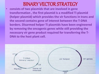 BINARY VECTOR STRATEGY
• consists of two plasmids that are involved in gene
transformation , the first plasmid is a modified Ti plasmid
(helper plasmid) which provides the vir functions in trans and
the second contains gene of interest between the T-DNA
borders. Disarmed helper Ti plasmids have been engineered
by removing the oncogenic genes while still providing the
necessary vir gene product required for transferring the T-
DNA to the host plant cell.
 