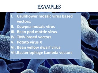 EXAMPLES
I. Cauliflower mosaic virus based
vectors.
II. Cowpea mosaic virus
III. Bean pod mottle virus
IV. TMV based vectors
V. Potato virus X
VI. Bean yellow dwarf virus
VII.Bacteriophage Lambda vectors
 