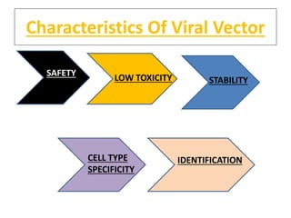 Characteristics Of Viral Vector
SAFETY
LOW TOXICITY STABILITY
CELL TYPE
SPECIFICITY
IDENTIFICATION
 