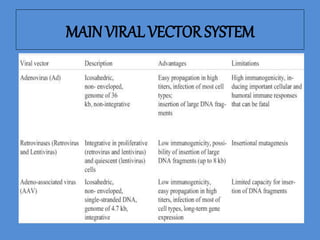 MAIN VIRAL VECTOR SYSTEM
 