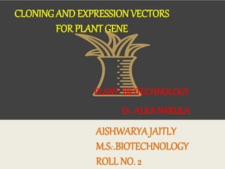 CLONING AND EXPRESSION VECTORS
FOR PLANT GENE
PLANT BIOTECHNOLOGY
AISHWARYA JAITLY
M.Sc.BIOTECHNOLOGY
ROLL NO. 2
Dr. ALKA NARULA
 