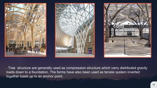 18
- Tree structure are generally used as compression structure which carry distributed gravity
loads down to a foundation. The forms have also been used as tensile system inverted
together loads up to an anchor point.
 