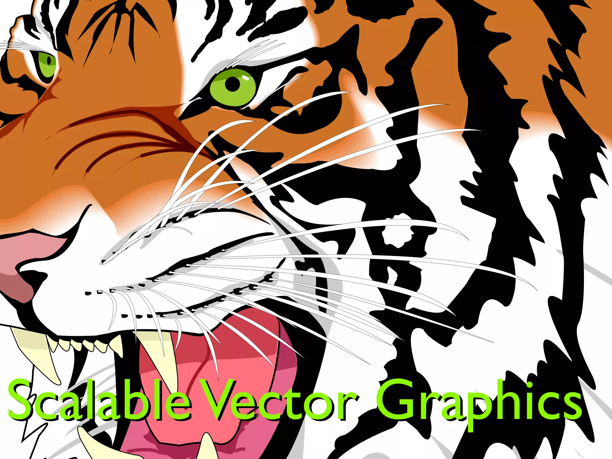 Scalable Vector Graphics
 