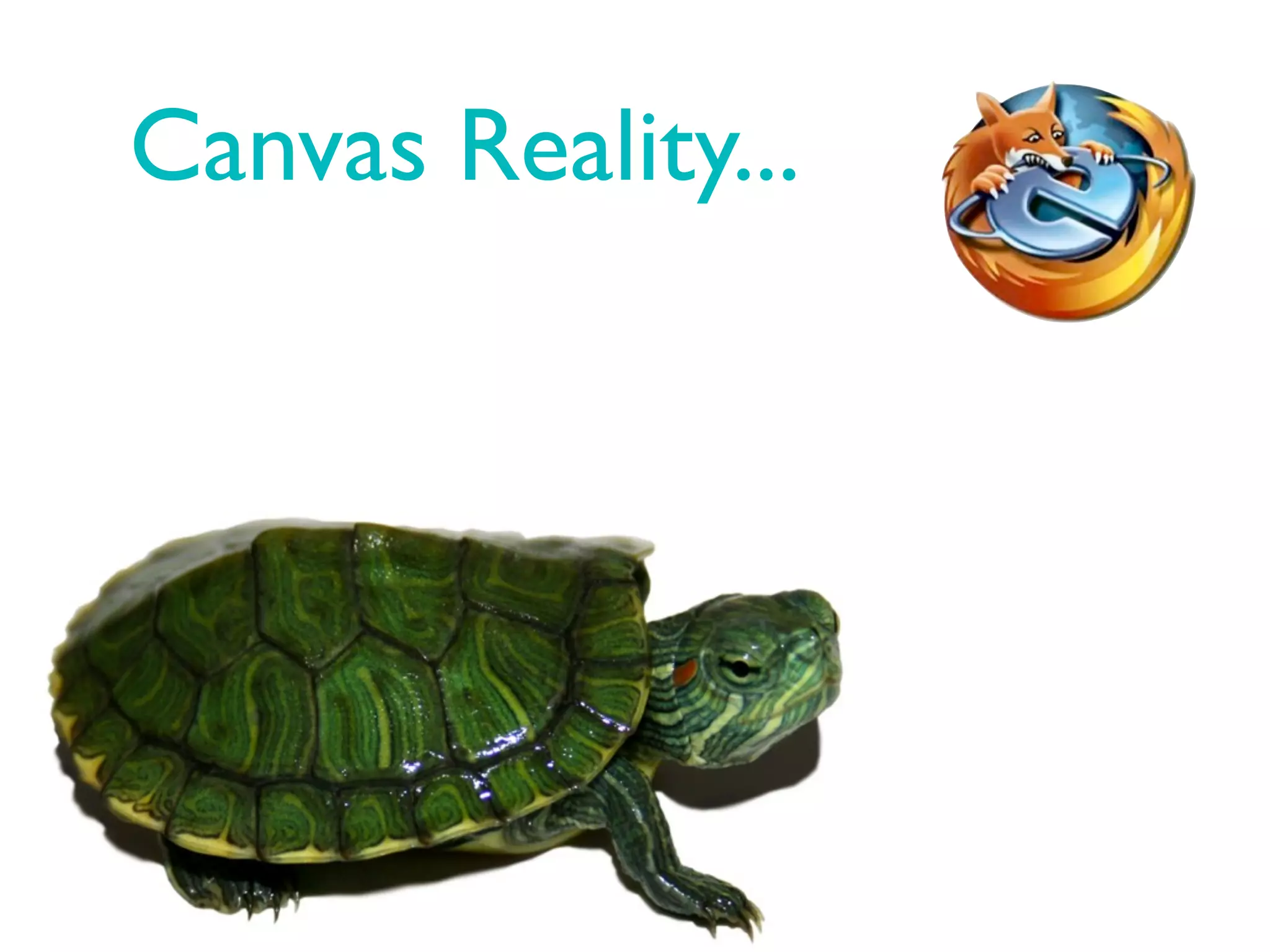 Canvas Reality...
 