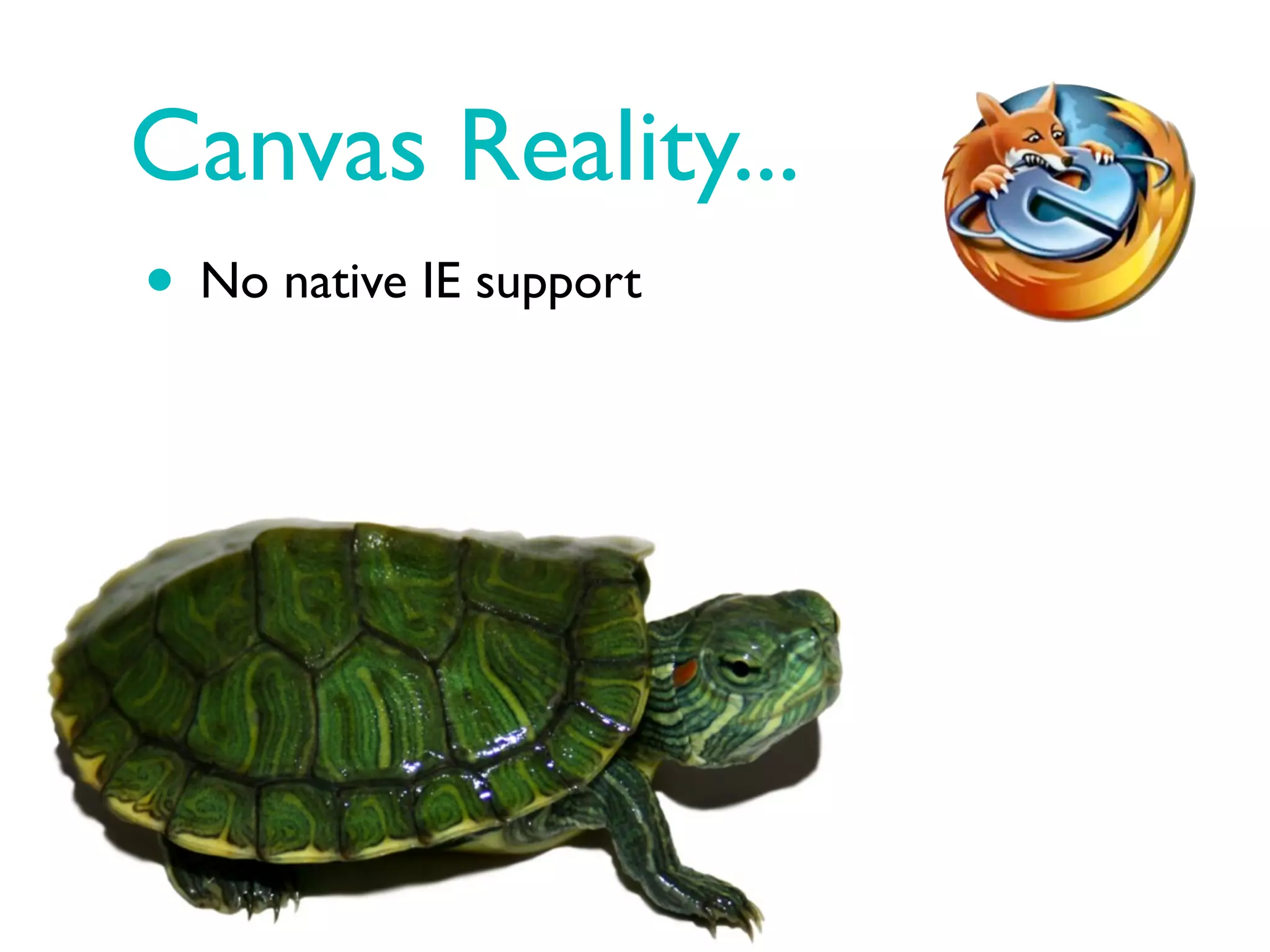 Canvas Reality...
• No native IE support
 