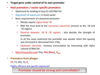•

Target gene under control of its own promoter

•

Host promoters / vector specific promoters
•
•
•

•

•

Optimised for binding to host (E.coli) RNA Pol
Regulation of expression is much easier
Basic requirements of a bacterial promoter:
• Mostly require sigma factor 70
• RNA Pol must bind at the consensus sequences present at the -10 and
-35 regions
• Distance between -10 & -35 regions : also decides the strength of
promoter.
In all the cases examined the promoter was weaker when the spacing
was increased or decreased from 17bp
• Upstream elements: increase transcription by interacting with alpha
subunit of RNA Pol
Most frequently used: Plac, Ptrc (Ptac), PBAD

Promoters from phages
T7, T3, SP6, T5, PL
Highly efficient and specific expression

Promoter should be strong and controllable!!
Promoter should be strong and controllable!!

 