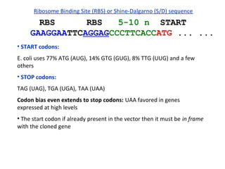 Ribosome Binding Site (RBS) or Shine-Dalgarno (S/D) sequence

RBS
RBS
5-10 n START
GAAGGAATTCAGGAGCCCTTCACCATG ... ...
• START codons:
E. coli uses 77% ATG (AUG), 14% GTG (GUG), 8% TTG (UUG) and a few
others
• STOP codons:
TAG (UAG), TGA (UGA), TAA (UAA)
Codon bias even extends to stop codons: UAA favored in genes
expressed at high levels
• The start codon if already present in the vector then it must be in frame
with the cloned gene

 