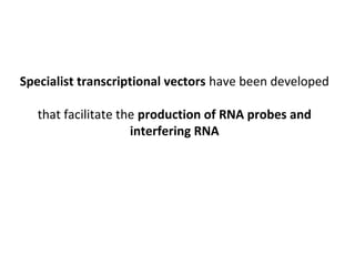 Specialist transcriptional vectors have been developed
that facilitate the production of RNA probes and
interfering RNA

 