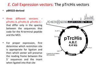 E. Coli Expression vectors: The pTrcHis vectors
• pBR322-derived
• three different versions pTrcHis A, pTrcHis B pTrcHis C that differ only in the spacing
between the sequences that
code for the N-terminal peptide
and the MCS
• For proper expression, first
determine which restriction site
is appropriate for ligation and
then which vector will preserve
the reading frame between the
5΄ sequences and the insert
when ligated into that site

 