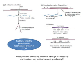 Problems with the
production of
Recombinant protein in
E. Coli

These problems can usually be solved, although the necessary
manipulations may be time-consuming and costly!!!

 